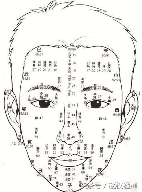 面相年齡圖|面相看你每一個年齡段的運勢